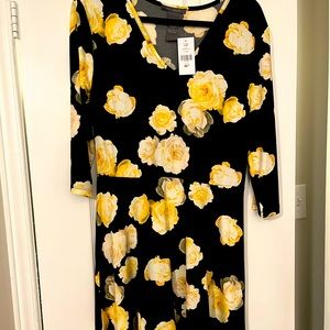 Brand new dress from Suzy Shier.